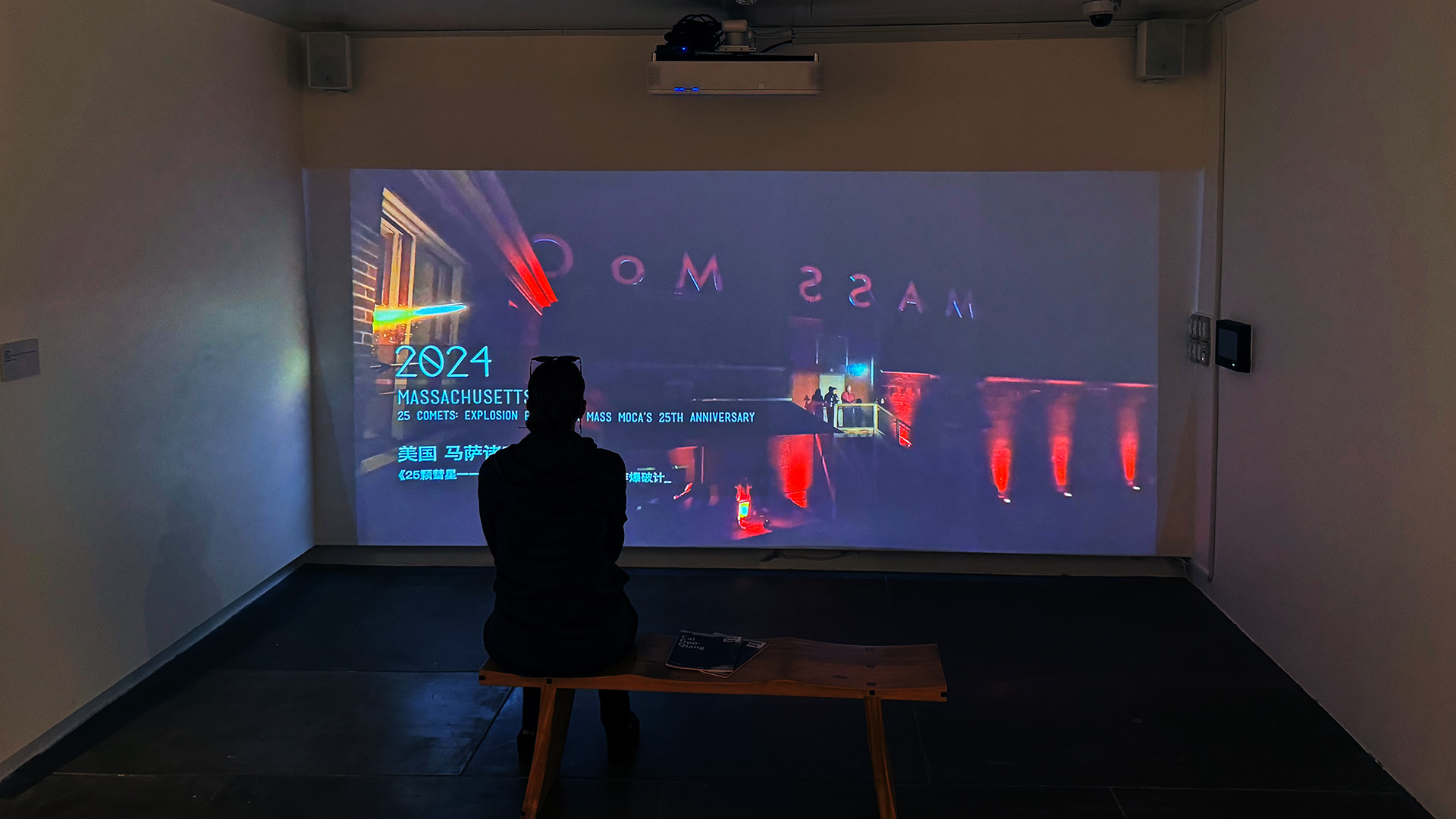 Pacific Asian Museum Projection by Amore360